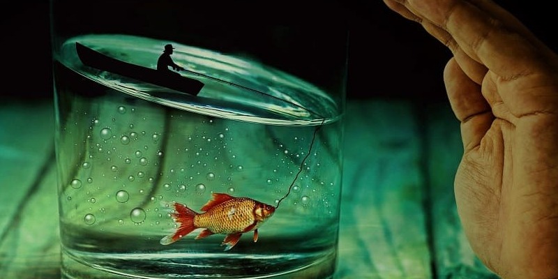 Ý nghĩa của mơ thấy cá